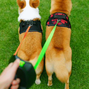 Wielofunkcyjna podwójna smycz z latarką i pojemnikiem na woreczki