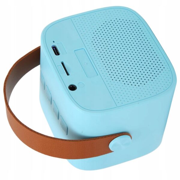 Karaoke zestaw dwa mikrofony audio, głośnik bluetooth