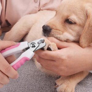 Profesjonalne-obcinaczki-cazki-i-pilnik-do-pazurow-dla-psa-i-kota-16-cm-Marka-bez-marki-3