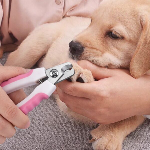 Profesjonalne-obcinaczki-cazki-i-pilnik-do-pazurow-dla-psa-i-kota-16-cm-Marka-bez-marki-3